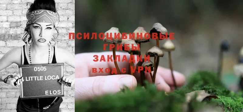 Галлюциногенные грибы Magic Shrooms  Валуйки 